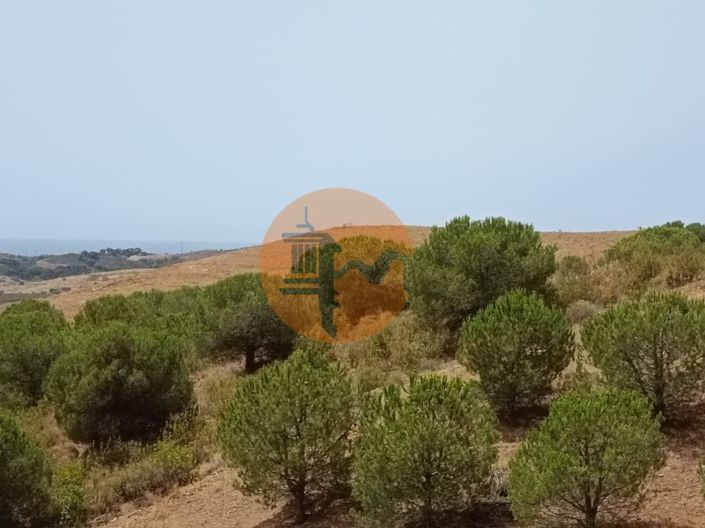 Image No.20-Plot for sale