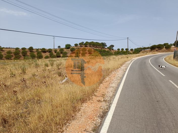 Image No.3-Plot for sale