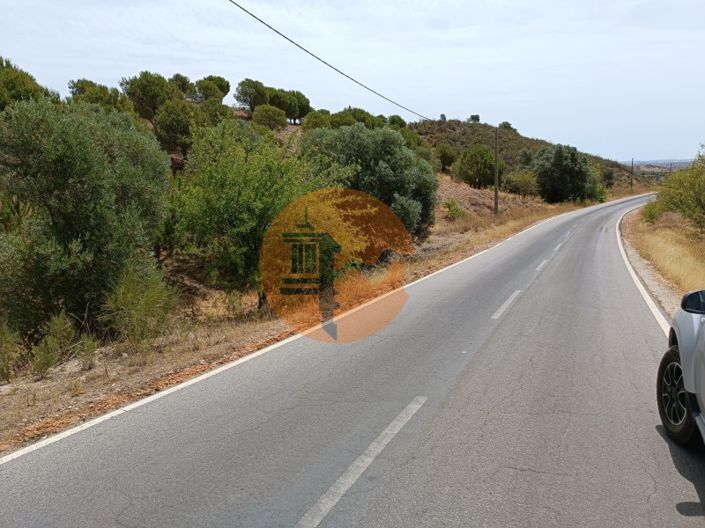 Image No.5-Plot for sale