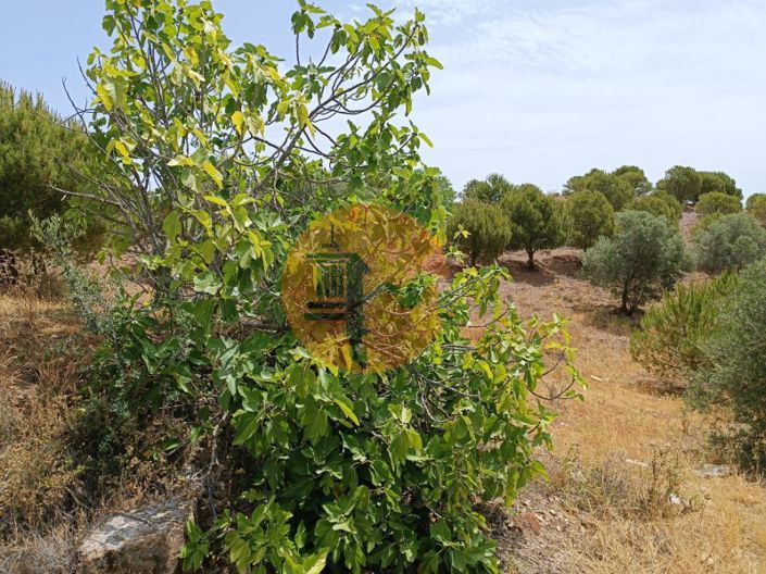 Image No.6-Plot for sale