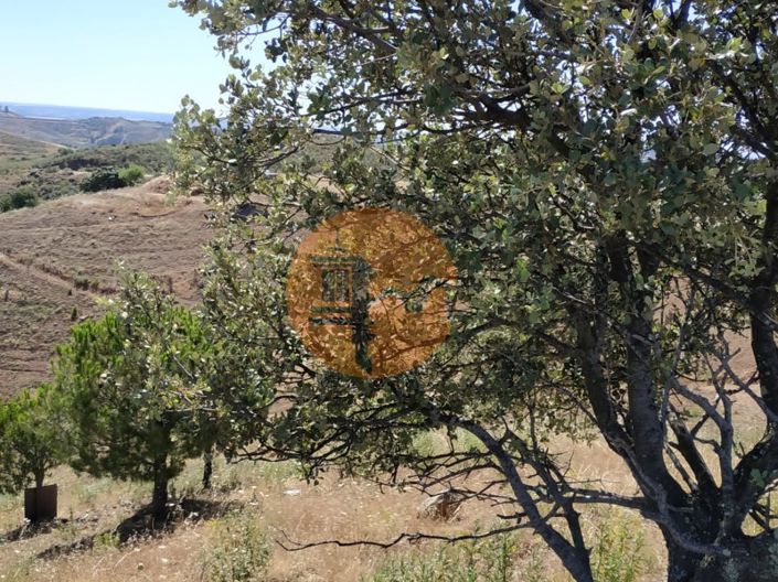 Image No.11-Plot for sale