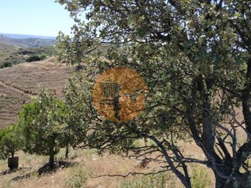 id17aa5b01-0000-0500-0000-000010b98122