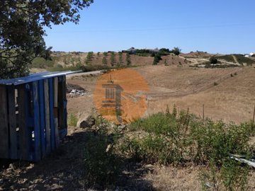 id17aa5b01-0000-0500-0000-000010b98124