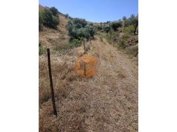 id17aa5b01-0000-0500-0000-000010b98126