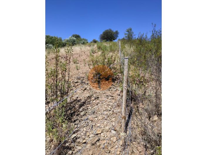 Image No.14-Plot for sale