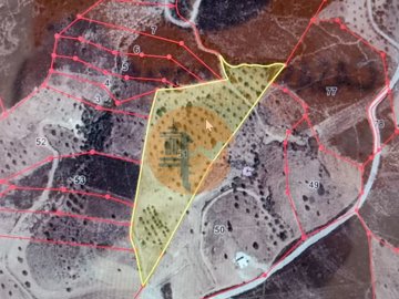 id17aa5b01-0000-0500-0000-000010b98119