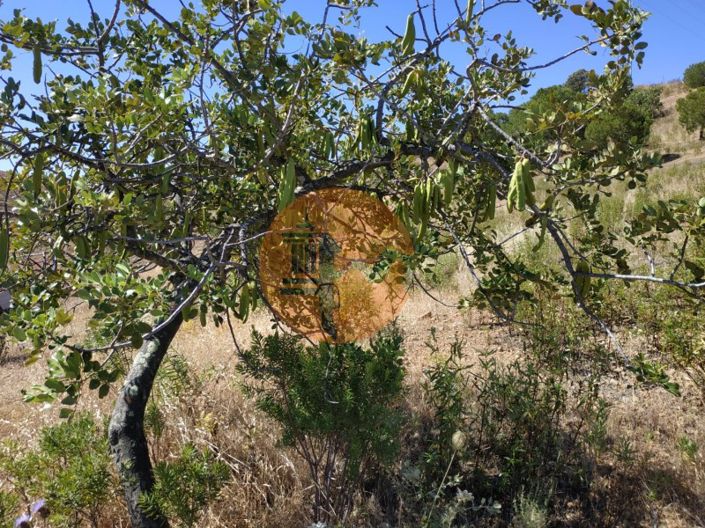 Image No.20-Plot for sale