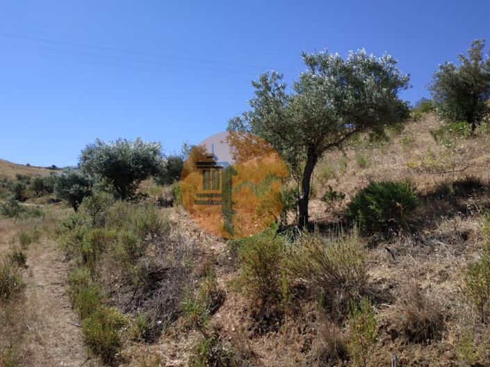 Image No.31-Plot for sale