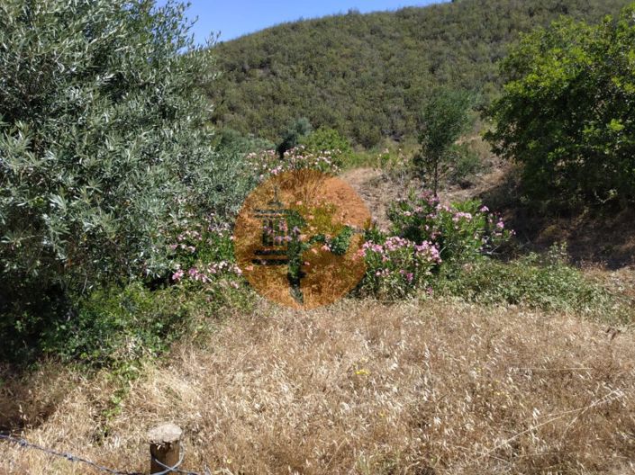 Image No.32-Plot for sale