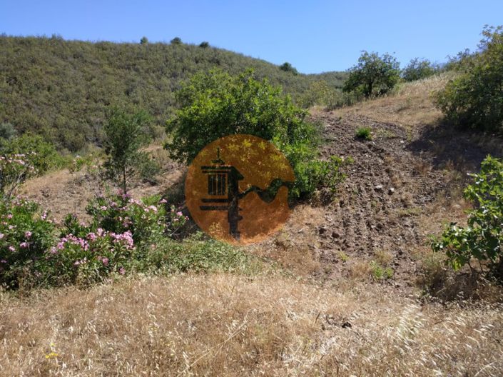 Image No.33-Plot for sale