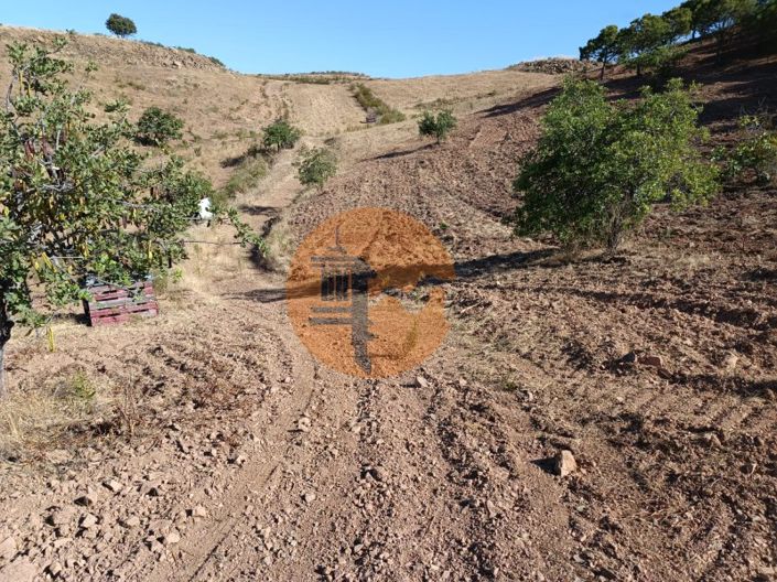 Image No.37-Plot for sale