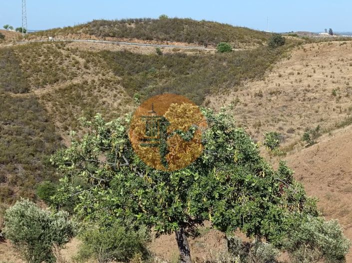 Image No.44-Plot for sale