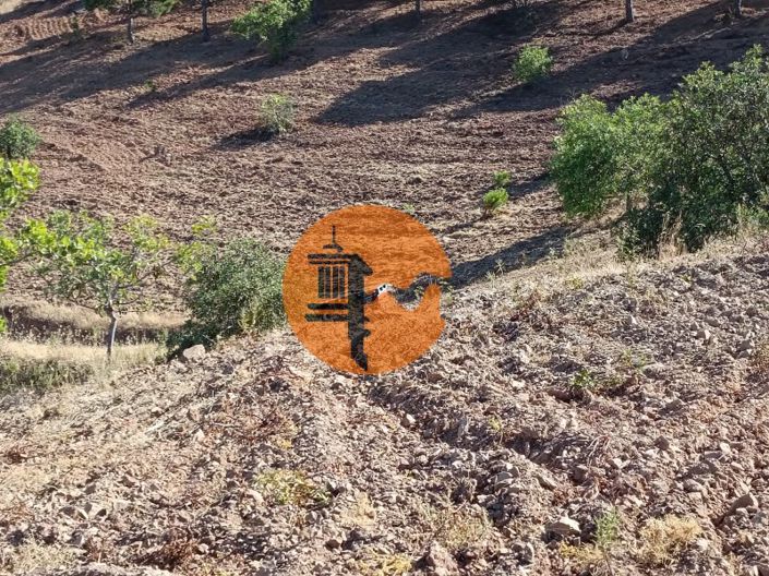 Image No.49-Plot for sale