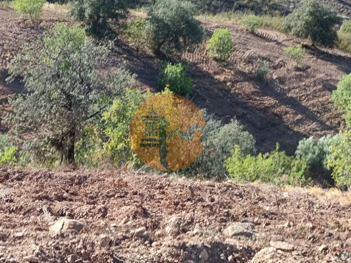 Image No.50-Plot for sale