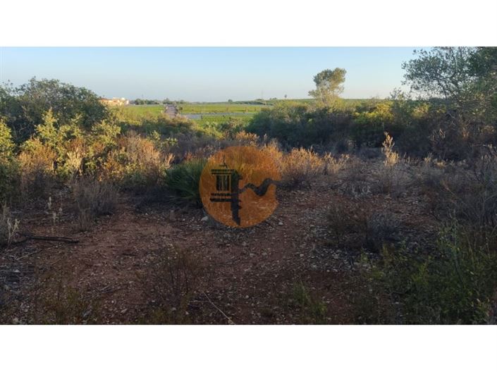 Image No.19-Plot for sale