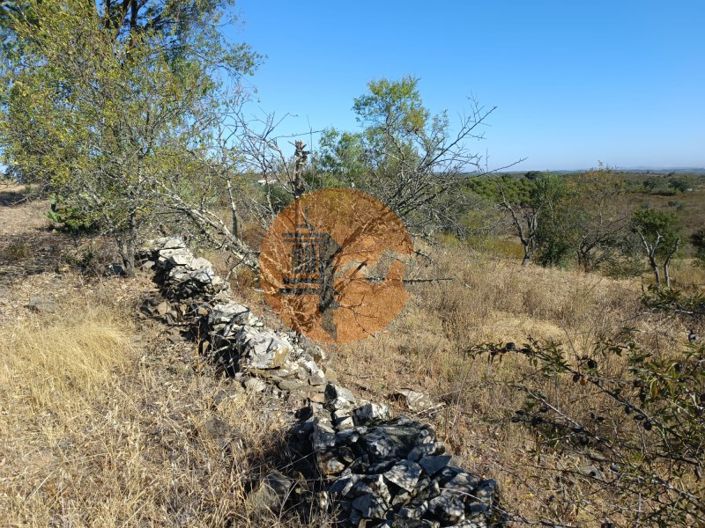 Image No.22-Plot for sale