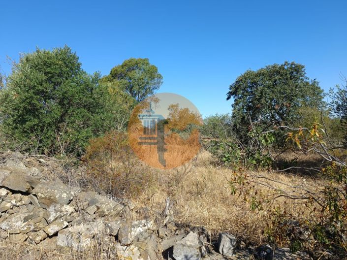 Image No.23-Plot for sale