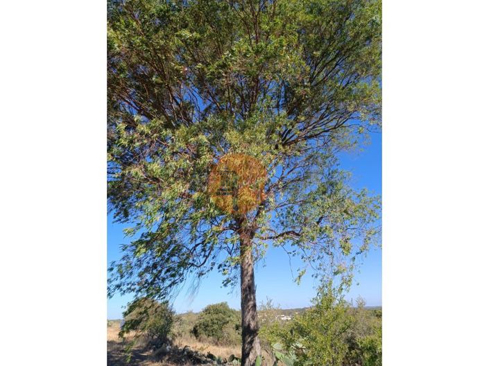 Image No.24-Plot for sale