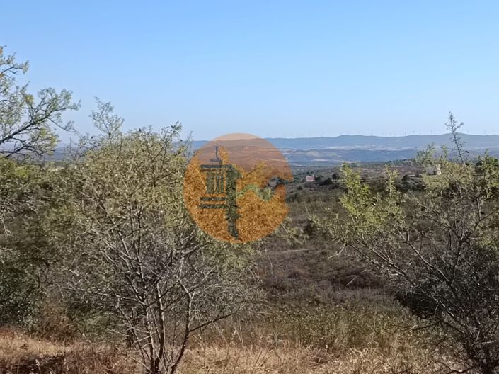 Image No.3-Plot for sale