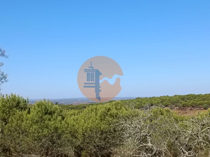 Image No.6-Plot for sale