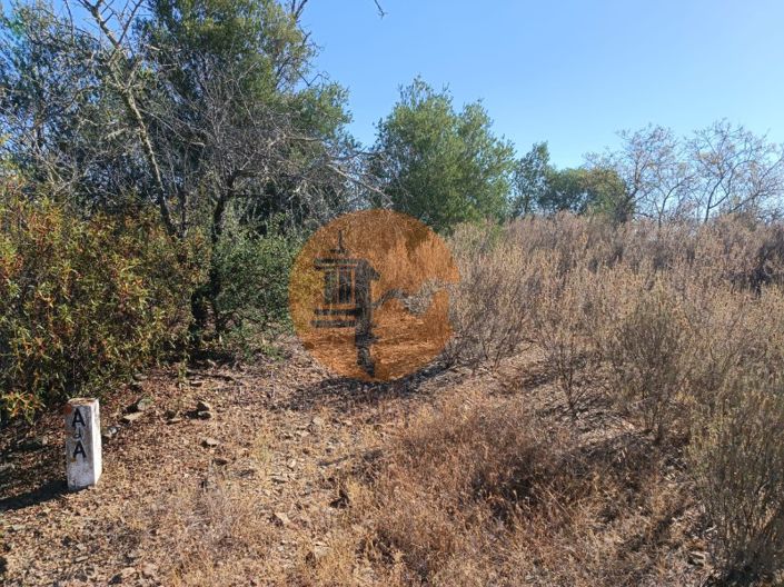 Image No.7-Plot for sale