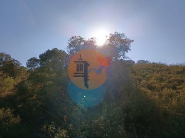 idc2995f01-0000-0500-0000-000010b952ff