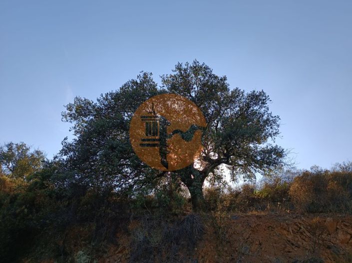 Image No.13-Terrain à vendre à Castro Marim