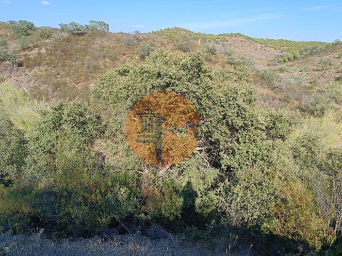 Image No.15-Plot for sale