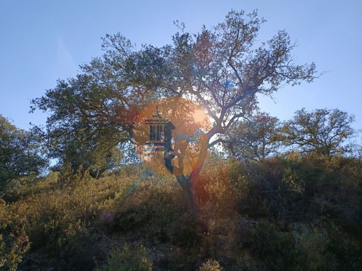 Image No.18-Terrain à vendre à Castro Marim