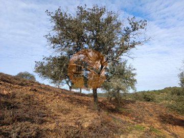 idc2995f01-0000-0500-0000-0000126720e2