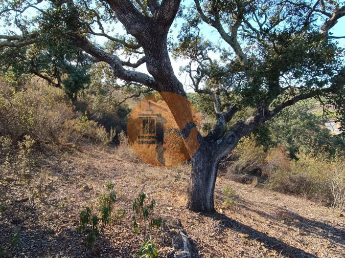 Image No.21-Terrain à vendre à Castro Marim