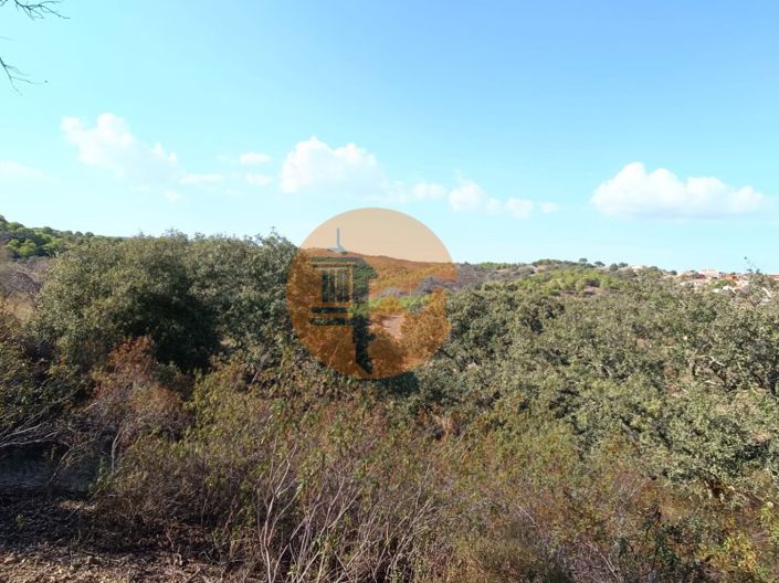 Image No.23-Plot for sale