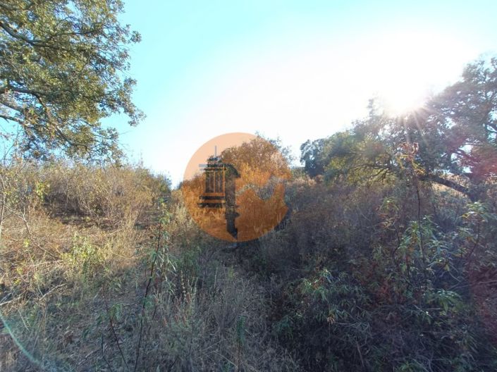 Image No.26-Plot for sale