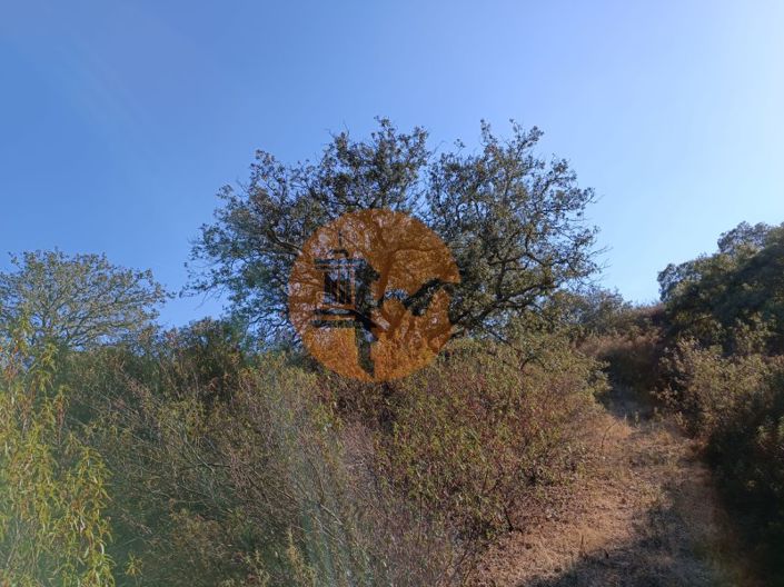 Image No.30-Terrain à vendre à Castro Marim