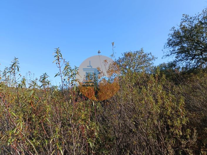 Image No.31-Plot for sale