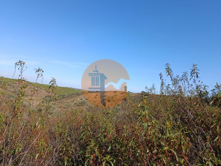 Image No.32-Plot for sale