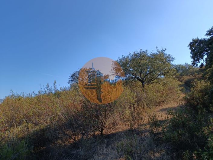 Image No.36-Terrain à vendre à Castro Marim