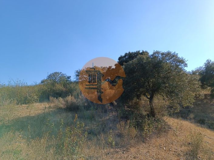 Image No.37-Plot for sale