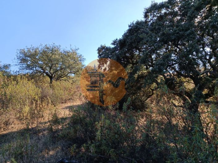 Image No.38-Terrain à vendre à Castro Marim