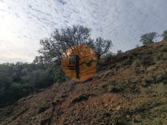 Image No.39-Terrain à vendre à Castro Marim