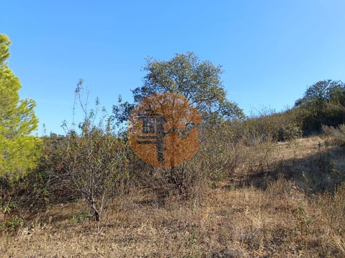 Image No.40-Plot for sale