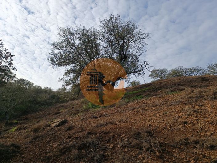 Image No.44-Plot for sale