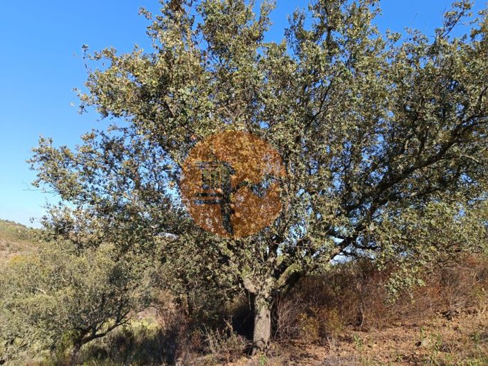 Image No.46-Terrain à vendre à Castro Marim