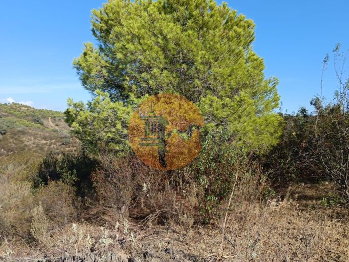 Image No.47-Terrain à vendre à Castro Marim