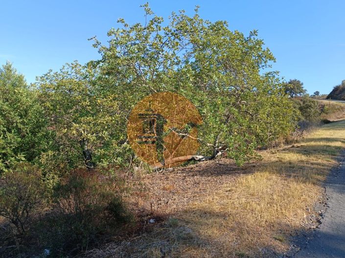 Image No.48-Terrain à vendre à Castro Marim