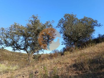 idc2995f01-0000-0500-0000-000010b952f1