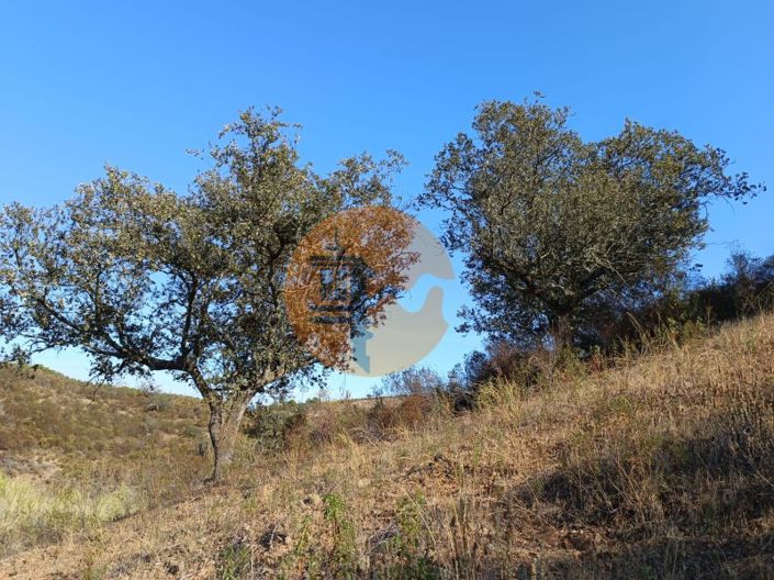 Image No.5-Terrain à vendre à Castro Marim