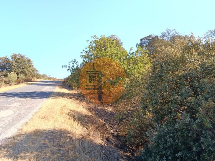 Image No.8-Plot for sale