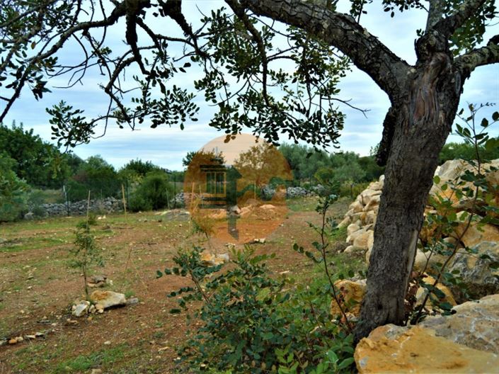 Image No.14-Terrain à vendre à Tavira