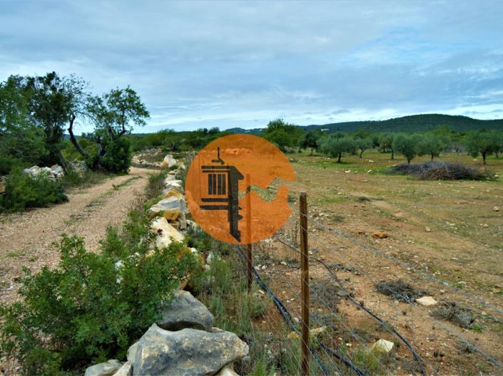 Image No.4-Terrain à vendre à Tavira
